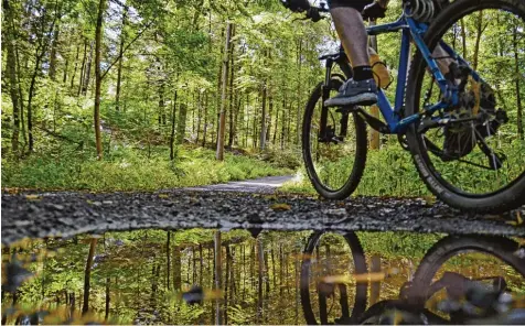  ?? Foto: Uwe Zucchi, dpa, lhe ?? Auf Forstwegen ist Radfahren erlaubt. Streit gibt es, wenn Radler auf Rückegasse­n und Pfaden im Wald unterwegs sind.