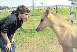  ??  ?? CLON. ANDRES GAMBINI JUNTO A UNO DE LOS PRIMEROS CABALLOS CLONADOS.