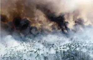  ?? REUTERSPIX ?? ... A wildfire burns in the Okefenokee National Wildlife Refuge in the US state of Georgia. Fish and Wildlife Service spokesman Mark Davis said on Monday the blaze, which has burned more than 40,000ha or one-fourth of the refuge, could take until...