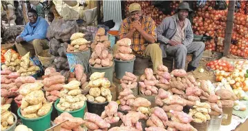  ??  ?? Sweet potatoes have become a cheaper alternativ­e for bread as prices of flour-based products go beyond the reach of many