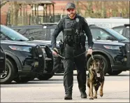  ?? DANA JENSEN/THE DAY ?? Stonington Police Officer Nick Long and Milo, a 13-monthold German Shepherd walk Tuesday through the police department parking lot.