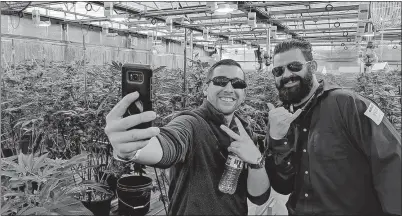  ?? [MY 420 TOURS] ?? A cannabis tour in Colorado with My 420 tours.