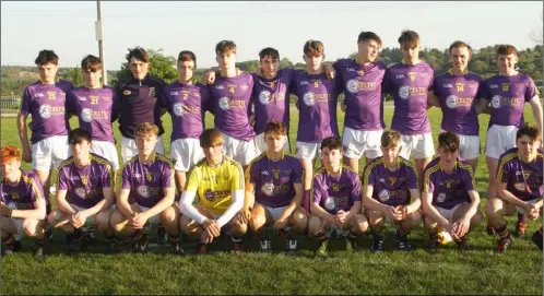  ??  ?? The victorious Wexford Purple squad before Wednesday’s victory.