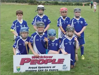  ??  ?? The Blessingto­n Under-9 hurlers at the monster blitz in Ballinakil­l on Saturday.