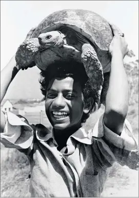  ?? PICTURES: RANJITH KALLY ?? Boy with a Tortoise.