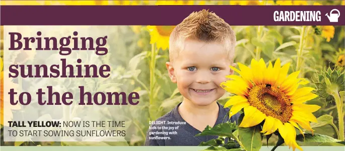  ??  ?? DELIGHT. Introduce kids to the joy of gardening with sunflowers.