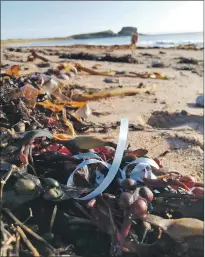  ??  ?? Clockwise from top left: Clachan Primary School’s Waste-Free Christmas creations; Southend primary plans to adopt Dunaverty Bay to carry on picking up litter like this; some of the litter discovered during a Clachan beach clean.