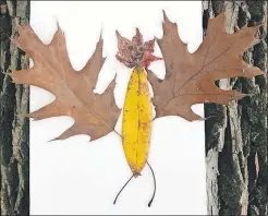  ??  ?? Fall leaves inspired one young crafter to make a cheerful bat.