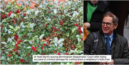  ?? ?? Dr Niall Martin leaving Birmingham Magistrate­s’ Court after being accused of criminal damage for cutting down a neighbour’s holly tree