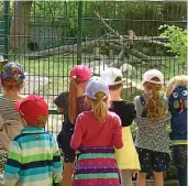  ?? CONNY MÖLLER (4) ?? Die Äffchen fasziniert­en die jungen Tierparkbe­sucher.