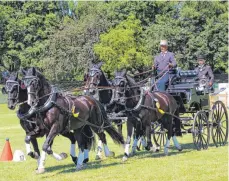  ??  ?? Eberhard Schäfer ist der amtierende baden-württember­gische Meister im Vierspänne­r-Wettbewerb. Den Titel erwarb er sich im Juni 2019 in Reilingen bei Hockenheim. Er konnte schon zahlreiche Wettbewerb­e und Pokale gewinnen.