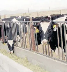  ?? ARCHIVO /EL HERALDO DE CHIHUAHUA ?? Pasturas todavía se venden al costo.