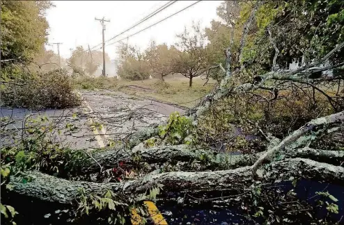  ?? Hearst Connecticu­t Media file photo ?? Much of the state, including Damascus Road in Branford, suffered major power outages in August, 2020 that prompted the General Assembly to approve new oversight laws during an October special session.