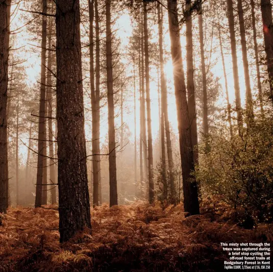  ??  ?? This misty shot through the trees was captured during a brief stop cycling the off-road forest trails at Bedgebury Forest in Kent Fujifilm X100V, 1/25sec at f/16, ISO 250