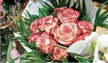  ?? ?? Impossible de passer dans un comptoir à fleurs Cactus sans repérer ces ravissante­s roses du Kenya, autre filière du commerce équitable Fairtrade.