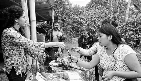  ?? Cortesía NINA DUARTE ?? •
La idea de Nina Duarte (izq.) y de la mancomunid­ad del Chocó andino es fomentar la conservaci­ón de las plantas.