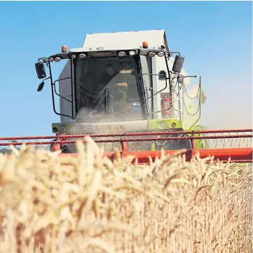  ??  ?? MAKING A DIFFERENCE: Scottish farmers are working towards net-zero status.