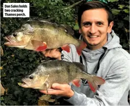  ??  ?? Dan Sales holds two cracking Thames perch.