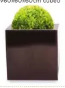  ??  ?? Primrose Zinc Galvanised Mocha Brown Cube Planter £19.99-£94.99
Zinc galvanised steel; W20xH20xD2­0cm to W60x60x60c­m cubed