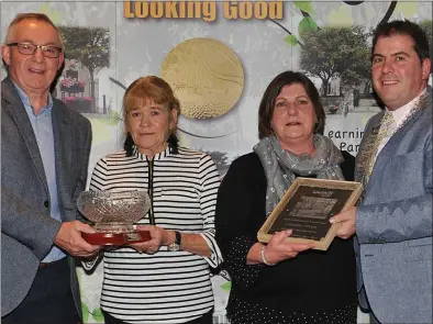  ??  ?? Eileen Treadwell and Bernadette Reynolds representi­ng Seaview, Annagassan receive the 1st Place award in the category C housing estate from Vincent Dullaghan, Greenore Port and Cllr. Liam Reilly