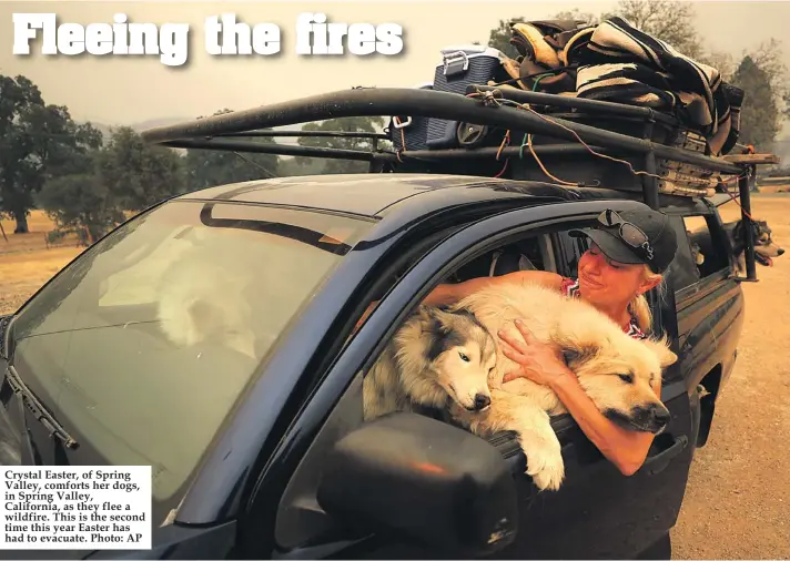  ??  ?? Crystal Easter, of Spring Valley, comforts her dogs, in Spring Valley, California, as they flee a wildfire. This is the second time this year Easter has had to evacuate. Photo: AP