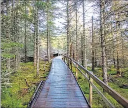  ??  ?? A footpath through Abriachan woods near Inverness