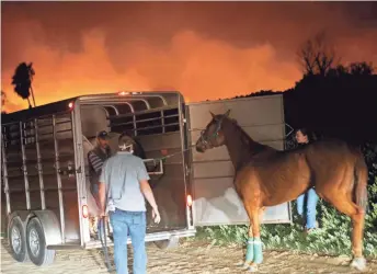  ?? SANDY HUFFAKER/ AFP AND GETTY IMAGES ?? Volunteers rescue horses at a stable during the Lilac fire in Bonsall, Calif., on Thursday. Several horses have been killed in the blaze.