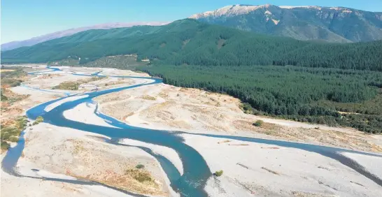  ??  ?? The Manuka Island Forest in Marlboroug­h borders the Wairau River. and comprises 1709ha of pinus radiata and 193ha of douglas fir.