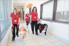  ?? BOB TYMCZYSZYN THE ST. CATHARINES STANDARD ?? Therapeuti­c Paws of Canada handlers Mary Powell with Magee, Dianne Howie with Mickey, and Lori Thwaites with Mecho, visit the emergency department at the St. Catharines Hospital.