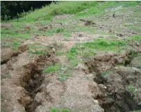  ?? Photo: GreenBridg­e.co.nz ?? Bare soil and heavy rain guarantees erosion. This doesn’t happen on Daniel and Bena’s property, thanks to effective earthworks that slow the water’s speed, and disperse it over a wide area.