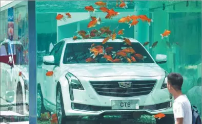  ?? PROVIDED TO CHINA DAILY ?? A man walks past a fish tank, which contains a Cadillac CT6 plug-in hybrid electric vehicle, on a street in Chengdu, capital of Sichuan province.