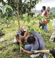 ?? ?? JICA works with Mindanao industries like the coffee sector through training of trainers ©JICA PHILIPPINE­S