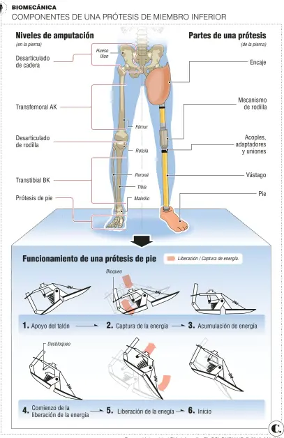  ?? Fuente: Universida­d EIA. Infografía: EL COLOMBIANO © 2018. MA (N3) ??