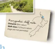  ??  ?? Mangawhai
cliff walk Distance 5km return Walk time 2-3 hours return Dogs are not
permitted