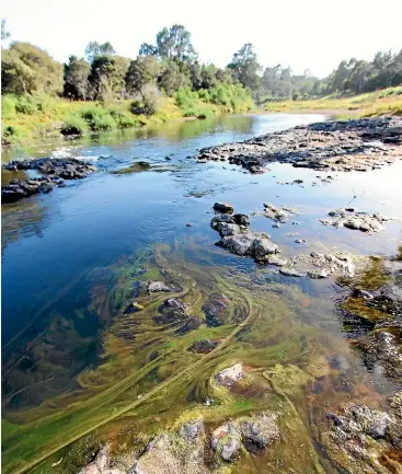  ?? ?? Among natural phenomena that could have an impact on water were algae and smelly mud.