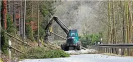  ??  ?? Kommt auch auf Leutenberg zu: Wegen Fällarbeit­en ist die B  zwischen Wurzbach und dem Abzweig nach Lehesten derzeit gesperrt. Foto: Jens Voigt