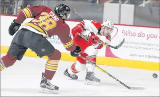  ?? CHARLOTTE CHECKERS PHOTO ?? Clark Bishop uncorks a shot during an AHL game with the Charlotte Checkers in this file photo. Bishop, who hails from St. John’s, says there is a lot of skill in the ECHL.