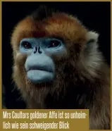  ??  ?? Mrs Coulters goldener Affe ist so unheimlich wie sein schweigend­er Blick