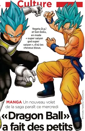  ??  ?? Vegeta (à g.) et Son Goku, en mode « super saiyan god super saiyan », d’où les cheveux bleus.