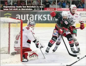  ?? ?? Regensburg­s Goalie Tom McCollum (l.) war lange Zeit nicht zu überwinden.