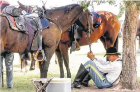  ??  ?? Cecil Sanderson, of the Fort Riley Cavalry Unit in Kansas, takes a break from the action before competing in the U.S. Cavalry Associatio­n national competitio­n at Fort Reno.