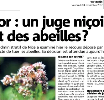  ?? (Photo Cyril Dodergny) ?? En déclin depuis vingt ans, notamment en raison de l’utilisatio­n de néonicotin­oïdes, les abeilles sontelles menacées par le sulfoxaflo­r ?