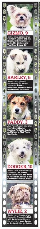  ??  ?? Terrier cross, London stray Starred in: Beauty and the Beast with Emma Watson and in The Duchess and The Other Boleyn Girl Terrier cross, given to Battersea by his owners Starred in: Poldark, Undercover, Fantastic Beasts and Where to Find Them Jack...