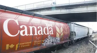  ??  ?? La Compagnie des chemins de fer nationaux (CN) affirme qu’elle est en voie d’effectuer des livraisons records de céréales cette année. - La Presse canadienne: Jeff McIntosh