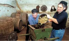  ??  ?? In the 2006 file photo, Nikoloz Mamiashvil­i and Amiran Getiashvil­i (left) press grapes in a local wine cellar in the wine-rich Kakheti region of Georgia.