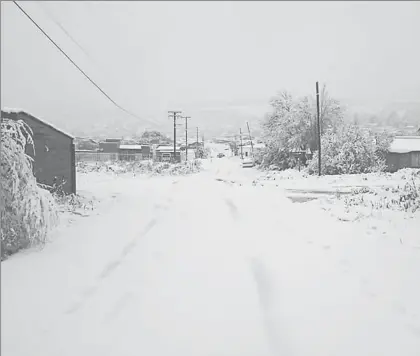  ??  ?? La caída de nieve en el municipio de Madera, Chihuahua, ocasionó que se interrumpi­era por más de 12 horas el servicio de energía eléctrica ■ Foto La Jornada