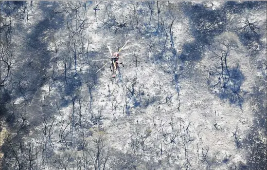  ?? K.C. Alfred San Diego Union-Tribune ?? A WATER-DROPPING helicopter flies over a charred swath of Bonsall in northern San Diego County on Friday. The Lilac fire was 75% contained as of Sunday.