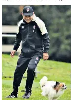  ??  ?? Dogged opponent: Eddie Jones chases Annie, his pet Papillon, during training