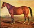  ?? COURTESY OF THE NATIONAL MUSEUM OF RACING AND HALL OF FAME ?? Lexington, depicted by artist Edward Troye, sired nine of the first 15 Travers Stakes winners, including Hall of Fame members Kentucky, Harry Bassett and Duke of Magenta.