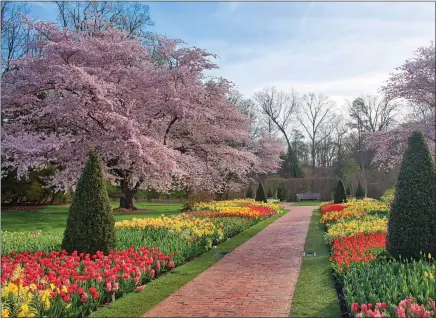  ?? PHOTO BY SCOTT R. HUMMEL ?? The Flower Garden Walk at Chester County’s famous Longwood Gardens.